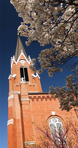 Petri Insurance Agency - Waterloo, IL 62298